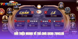 Các Cửa Cược Và Tỷ Lệ Trả Thưởng Tại 789club