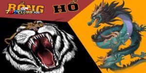 Chiến Thuật Soi Cầu Rồng Hổ 789club Chuẩn Bất Bại