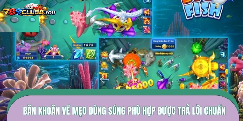 Mẹo Dùng Súng Phù Hợp Cho Từng Mục Tiêu