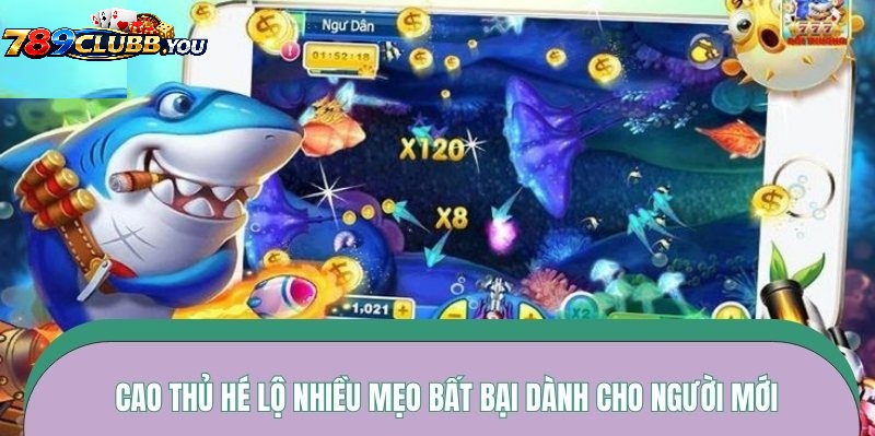 Top Chiến Thuật Tinh Chỉnh Súng Đỉnh Cao Từ Cao Thủ