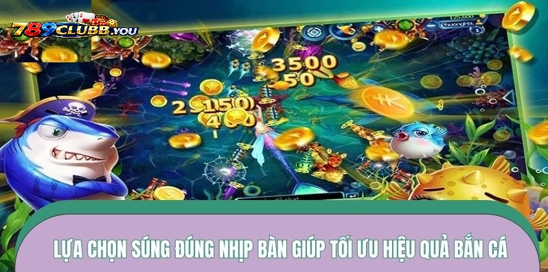 Những Nguyên Tắc Quản Lý Vốn Khi Sử Dụng Súng